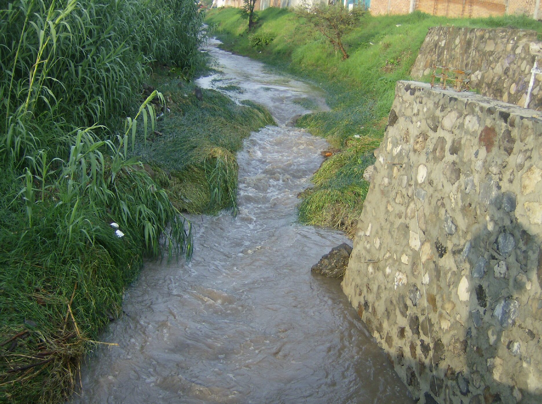 Colaciones Don Vicente