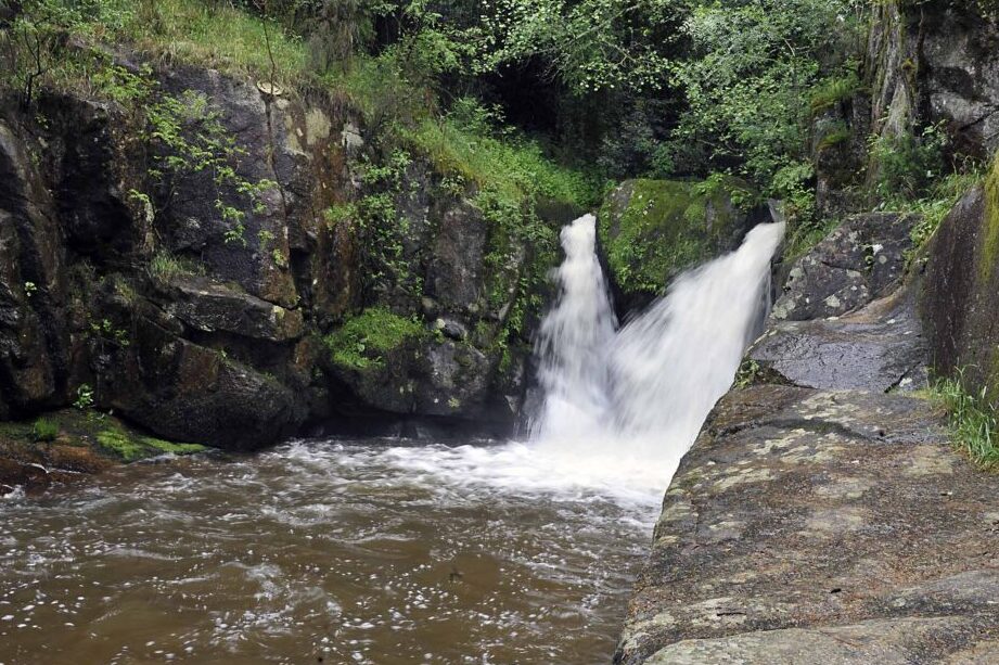 FARO De Los Compadres