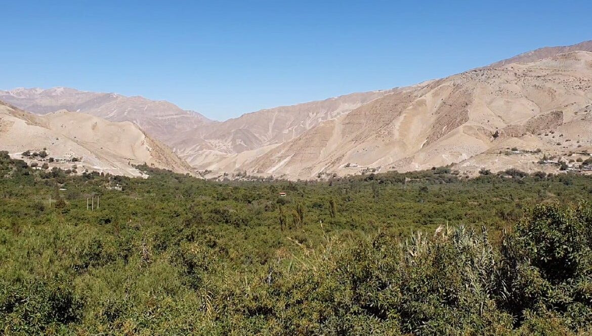La Picá Del Valle