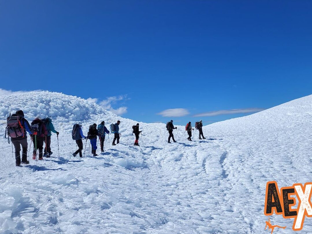La Picada Vista Llaima