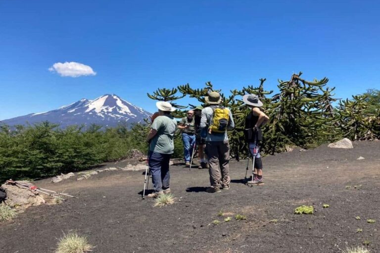 Mejores Picadas En Cautín Cerca De Mi