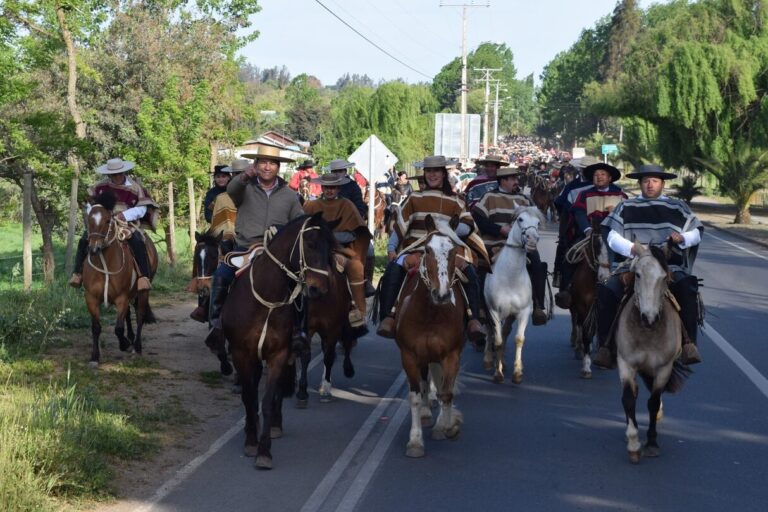 Mejores Picadas En Diguillín Cerca De Mi